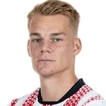 P. Lienhart